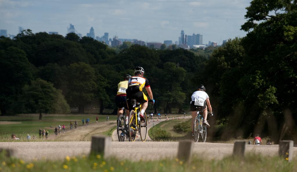LondonHomeGardens Buitenkant foto