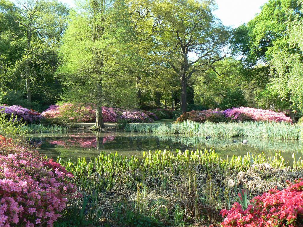 LondonHomeGardens Buitenkant foto